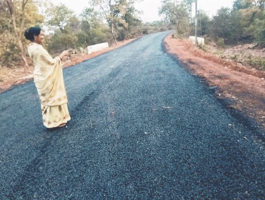 जनपद सभापति ने पक्की सडक़ का अवलोकन कर बधाई दी