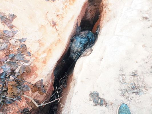 ढलान से गिरकर हाथी के बच्चे की मौत