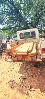 सागौन लकड़ी जब्त, दो आरोपियों परमामला दर्ज