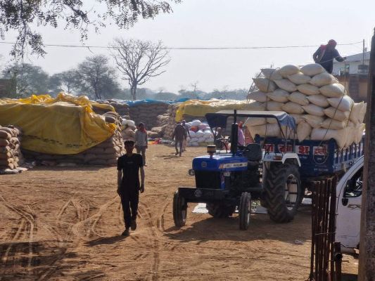 सरकार ने खरीदा सवा लाख किसानों से 15 सौ करोड़ का धान