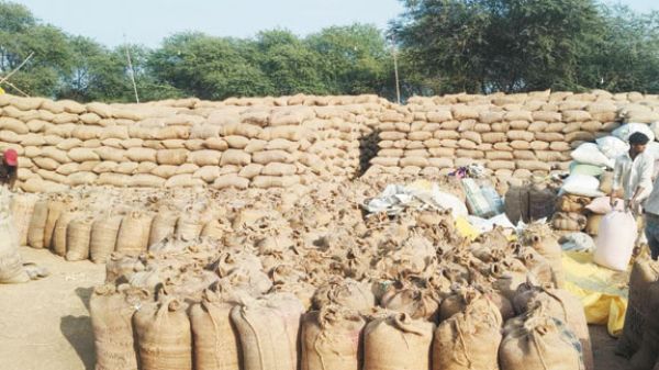 बलौदाबाजार जिले में धान खरीदी लक्ष्य से कम रही