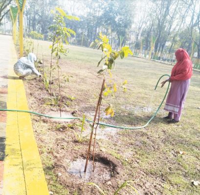 निगम ने महिला स्व सहायता समूहों को किया मानदेय भुगतान