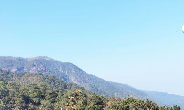 बचेली वनपरिक्षेत्र  में बाघ की दस्तक, पटरी के पास मिले पंजों के निशान