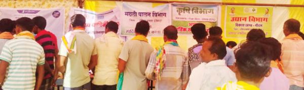 पाहुरनार शिविर में 296 मामलों का निदान