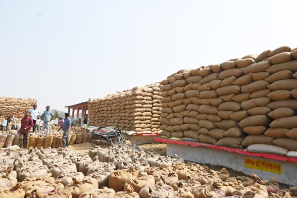 1304 किसानों से 9882 टन धान की खरीदी