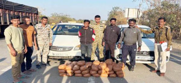 66 लाख से अधिक का गांजा जब्त, 11 तस्कर गिरफ्तार