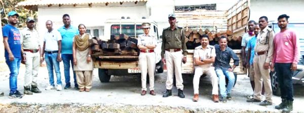  गीदम क्षेत्र में 100 नग चिरान जब्त