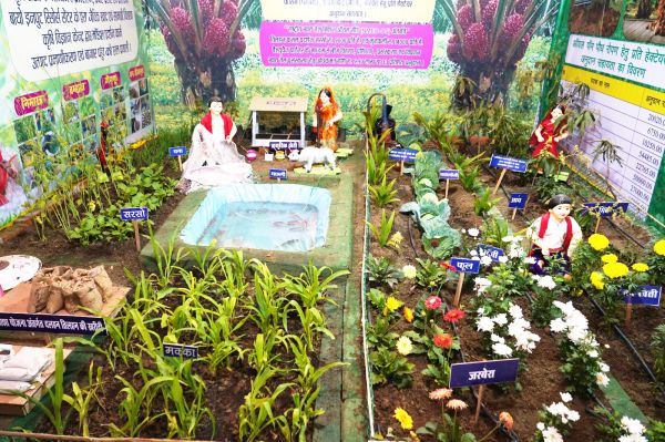 राजिम कुंभ कल्प में पाम फल  ने खींचा किसानों का ध्यान