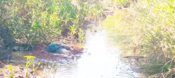 नाले में मिली लाश, जांच में