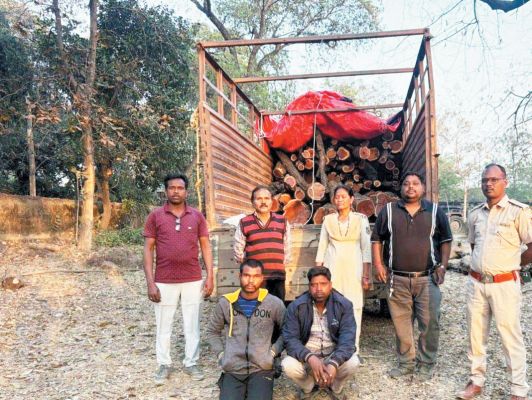 भारी मात्रा में खैर लकड़ी बरामद, गुप्त गोदाम पर छापा