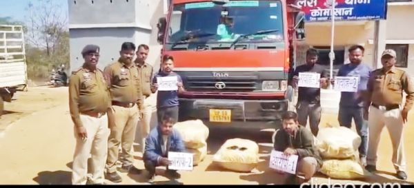 पशुआहार के नीचे छिपाकर गांजा तस्करी