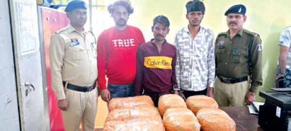 14 किलो गांजे के साथ तीन तस्कर गिरफ्तार, दो पुणे के