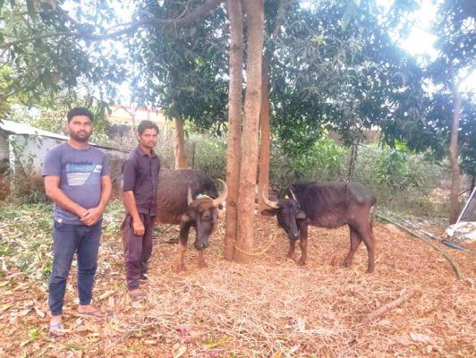 पशु तस्करी, 2 आरोपी गिरफ्तार