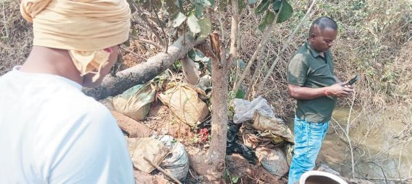 जंगल में बनाई जा रही अवैध  महुआ शराब की भठ्ठी नष्ट