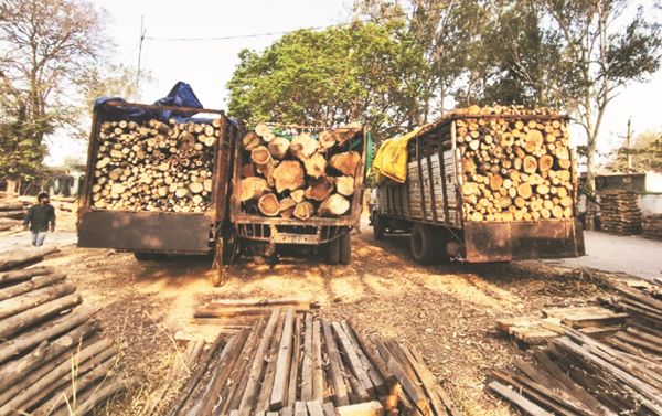 अवैध लकड़ी परिवहन, चार वाहन जब्त