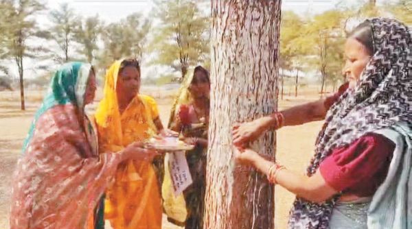  फिल्म सिटी निर्माण के लिए पेड़ कटाई के विरोध में महिलाओं ने बांधा कलावा, उतारी आरती