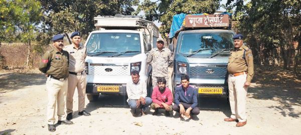 मवेशी तस्करी, तीन आरोपी गिरफ्तार