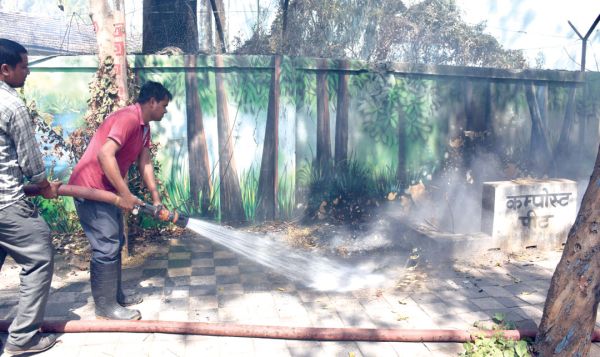 गवर्मेंट स्कूल परिसर के पीछे झाडिय़ों में आग