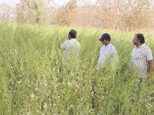 दुर्ग के सभी कृषि फार्मों की जांच