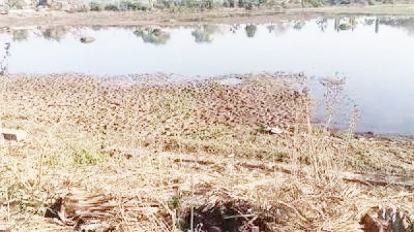 बलौदाबाजार के बड़े जलाशयों का जलस्तर  मार्च के पहले सप्ताह में ही घटा