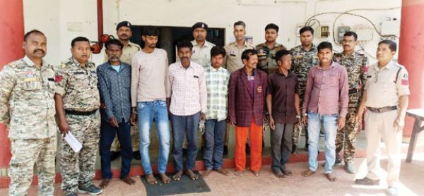 बलरामपुर में अवैध अफीम की खेती, 3.67 एकड़ में लगी फसल जब्त