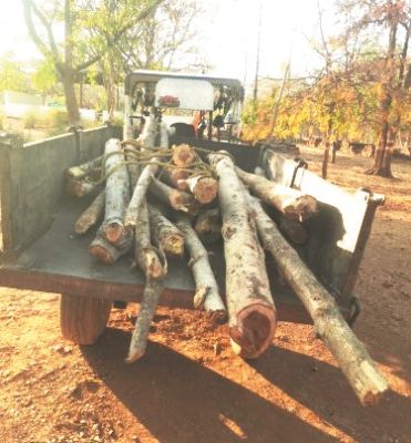  लकड़ी का अवैध परिवहन, ट्रैक्टर-ट्रॉली जब्त