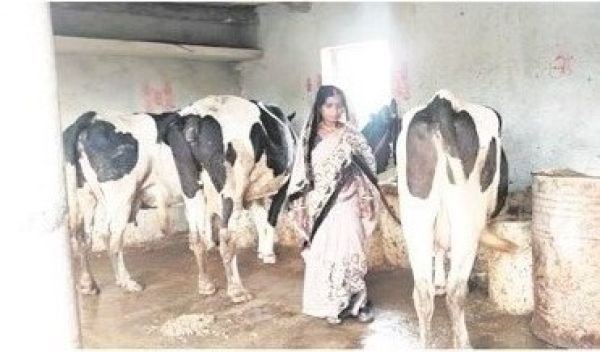 डेयरी और खेती से ‘लखपति दीदी’ बनीं माधुरी जंघेल