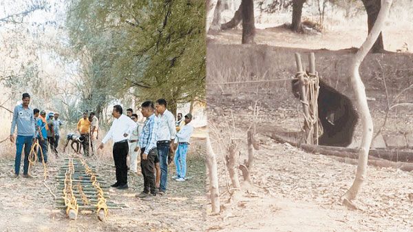 भालू कुएं में, सीढ़ी से बाहर निकल जंगल की ओर