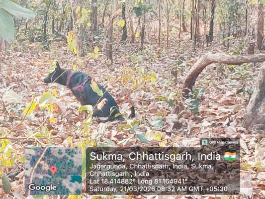 तीन बम बरामद, जवानों ने किया नष्ट