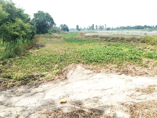 गहराता जल संकट, 26 में से 17 जलाशय अभी से सूखे