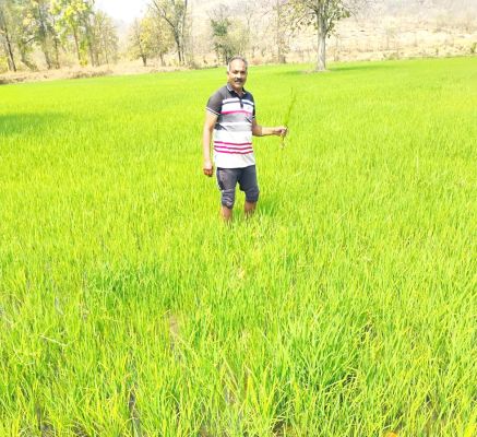 वन पट्टा मिलने के बाद खेती कर बद्रिका कमल सिंह ने खरीदा ट्रैक्टर, खेतों में बोर