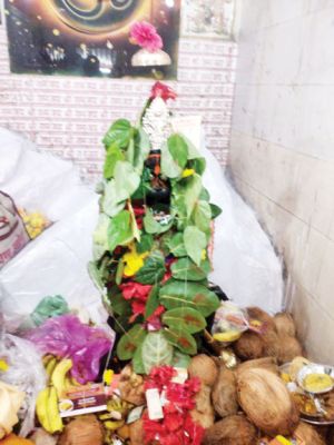 जन्मोत्सव पर बैलाडीला की हनुमान टेकरी में भक्तों की भीड़, हवन-पूजन और महाभंडारा