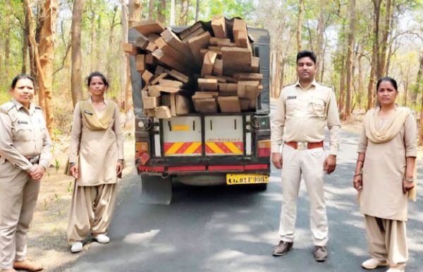  1.35 लाख की अवैध लकड़ी जब्त