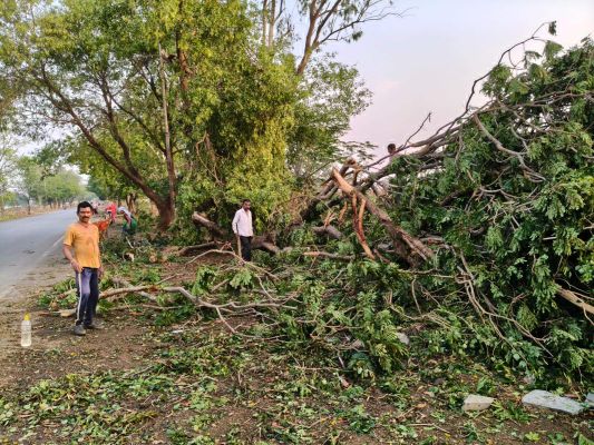 गरज के साथ बारिश, आंधी से पेड़-खंभे गिरे, जनजीवन अस्त-व्यस्त