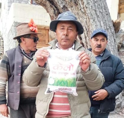 लैलूंगा से लद्दाख तक पहुंचा ‘केलो’ जैविक जवाफूल चावल, लद्दाखवासियों ने जताया आभार