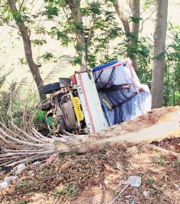 रफ्तार पिकअप ने स्कूटी को मारी टक्कर, पेड़ से जा टकराई