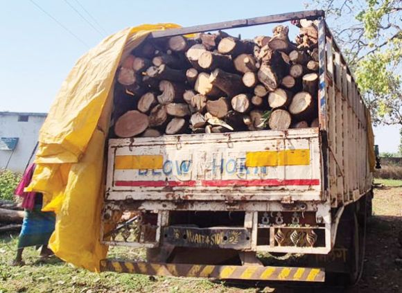 वाहन समेत भारी मात्रा में जलाऊ लकड़ी जब्त