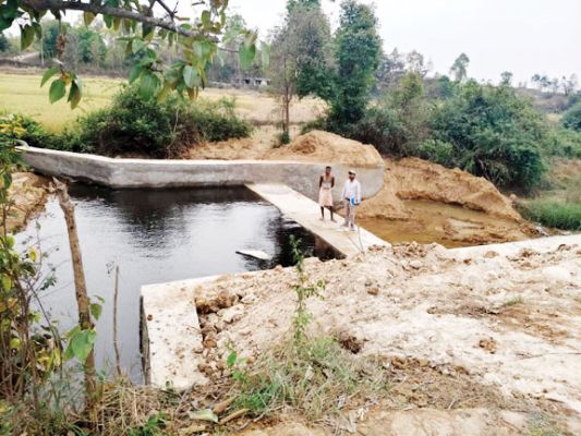 मनरेगा से बना चेक डेम किसानों के लिए बना वरदान, मिल रही सिंचाई सुविधा