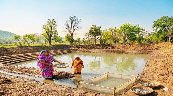 समूह से जुडक़र कम ब्याज पर ऋण लिया: अब आजीविका डबरी बनी समृद्धि की नई सीढ़ी