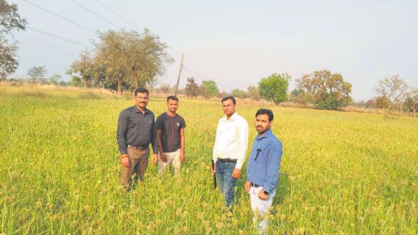 फसल विविधिकरण से बदली किसानों की तकदीर