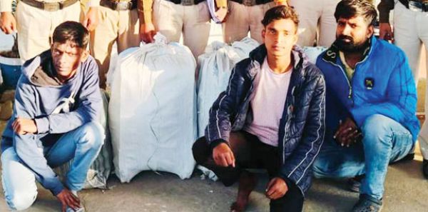 नशे का अवैध कारोबार, 3 आरोपियों को 10-10 साल की सजा, एक-एक लाख का जुर्माना