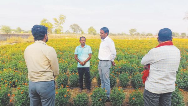 कलेक्टर ने किया कुरुद के गांवों का दौरा, विकास कार्यों को देखा