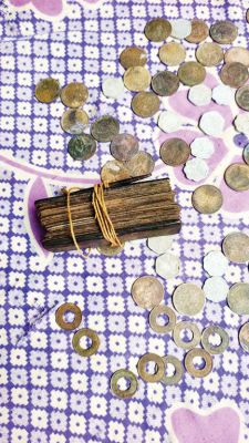 बस्तर के बोडऩपाल और कोलचुर में मिलीं दुर्लभ पांडुलिपियां