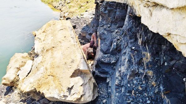 अवैध कोयला खनन के दौरान पत्थर में दबकर ग्रामीण की मौत, दुर्गंध आने पर पता चला 