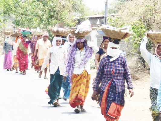 कमाई करने 44 डिग्री में भी छत्तीसगढ़ महतारी आगे
