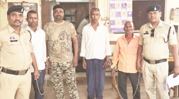 मवेशियों का अवैध परिवहन, चार आरोपी गिरफ्तार