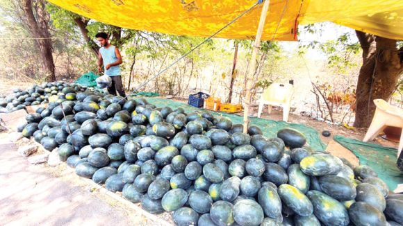 दोपहर ढाई बजे रायपुर 43.8 डिग्री