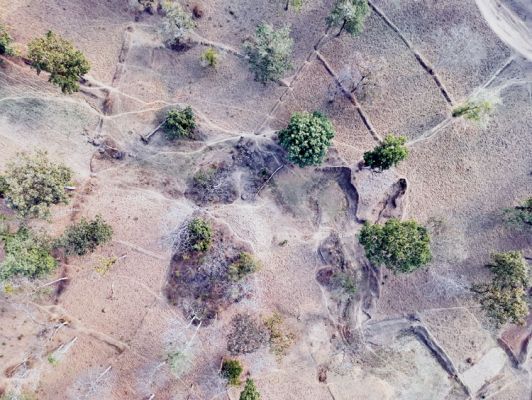 टाइगर रिज़र्व में 15 साल में कटे 1 लाख पेड़