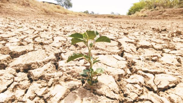 भीषण गर्मी से घटते जलस्तर के बीच सूखे तालाब