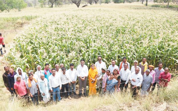 जल संरक्षण व फसल परिवर्तन से तालाब को 4 साल बाद मिला नया जीवन
